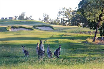 Riverside Oaks Golf Resort - Accommodation QLD 1