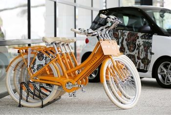 Art Series - The Larwill Studio - Accommodation QLD 0