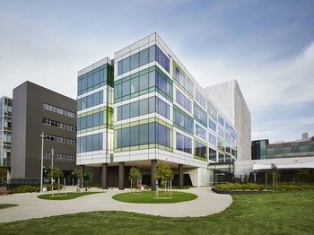 Art Series - The Larwill Studio - Accommodation QLD 5