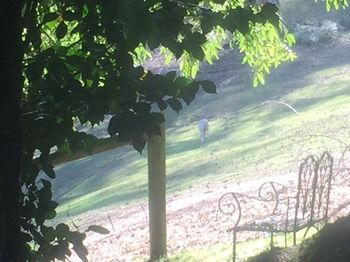 Brentwood Accommodation - Accommodation QLD 35