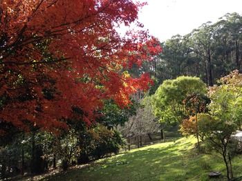 Brentwood Accommodation - Accommodation QLD 43