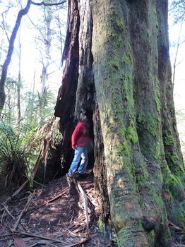 Brentwood Accommodation - Accommodation QLD 56