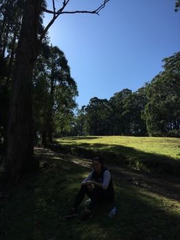 Brentwood Accommodation - Accommodation QLD 58