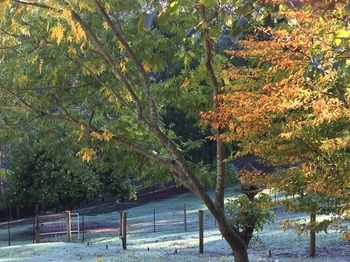 Brentwood Accommodation - Accommodation QLD 64