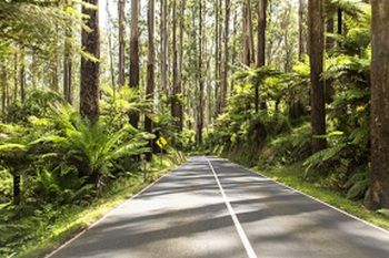Vibe Hotel Marysville - Accommodation QLD 19