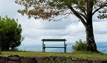 Montville QLD Accommodation QLD