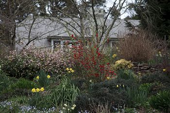 Parklands Country Gardens And Lodges - Accommodation QLD 12