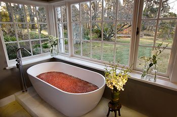 Parklands Country Gardens And Lodges - Accommodation QLD 27