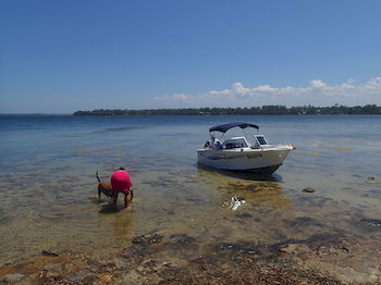 Dungowan Waterfront Apartments - Accommodation QLD 39