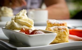 Riverwood Downs Mountain Valley Resort - Accommodation QLD 1