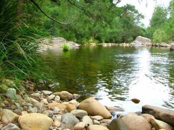 Riverwood Downs Mountain Valley Resort - Accommodation QLD 9