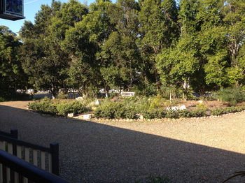 Eumundi Gridley Homestead B&B - Accommodation QLD 1