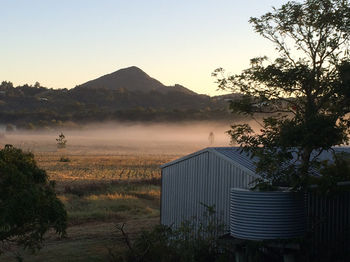 Eumundi Gridley Homestead B&B - Accommodation QLD 2