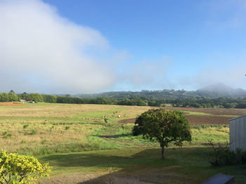 Eumundi Gridley Homestead B&B - Accommodation QLD 6