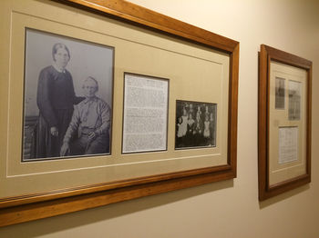 Eumundi Gridley Homestead B&B - Accommodation QLD 7