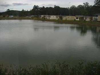 Australian Motor Homes Tourist Park - Accommodation QLD 3