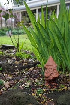 Holly Lane Mews - Accommodation QLD 4