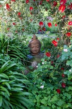 Holly Lane Mews - Accommodation QLD 37