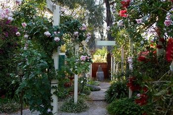 Holly Lane Mews - Accommodation QLD 40