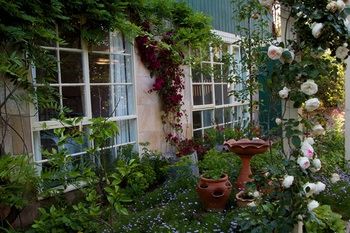 Holly Lane Mews - Accommodation QLD 46