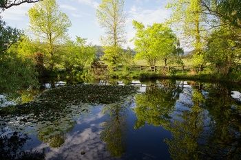 Holly Lane Mews - Accommodation QLD 58