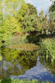 Holly Lane Mews - Accommodation QLD 59