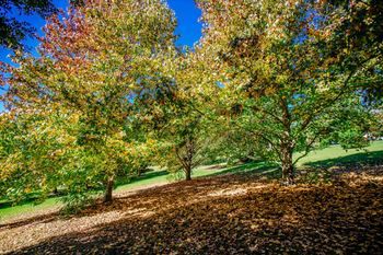 Avoca Valley Bed & Breakfast - Accommodation QLD 14