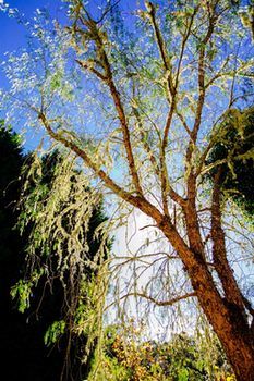 Avoca Valley Bed & Breakfast - Accommodation QLD 23