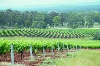 Hunter Hideaway Cottages - Accommodation QLD 3