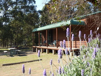 Hunter Hideaway Cottages - Accommodation QLD 4