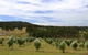 Hunter Homestead - thumb 7