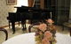 Hill Top Country Guest House - thumb 5