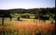 Hill Top Country Guest House - thumb 10