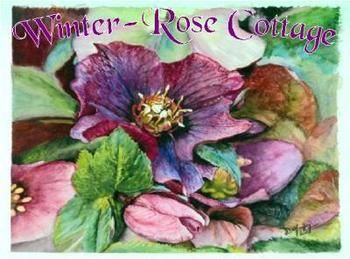 A Winter-rose Cottage B&B - Accommodation QLD 0
