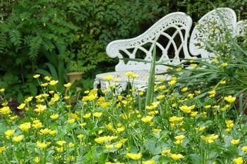 A Winter-rose Cottage B&B - Accommodation QLD 4