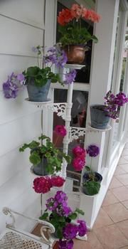 A Winter-rose Cottage B&B - Accommodation QLD 5