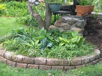 A Winter-rose Cottage B&B - Accommodation QLD 6