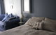 A Winter-rose Cottage B&B - thumb 15