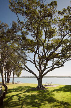 Langley Park Apartments - Accommodation QLD 5
