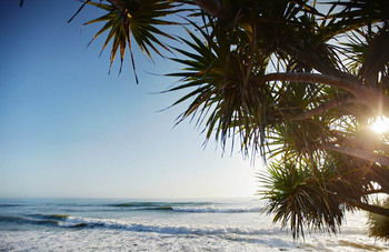 Langley Park Apartments - Accommodation QLD 13