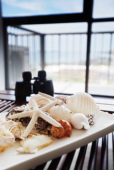 Langley Park Apartments - Accommodation QLD 19