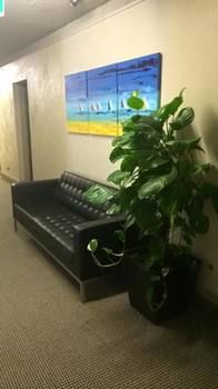 Parkhaven Motor Lodge Nowra - Accommodation QLD 30