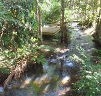Treetops Accommodation Montville - Accommodation QLD