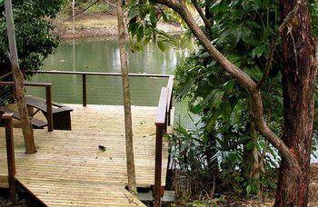 Treetops Accommodation Montville - Accommodation QLD 8