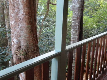 Treetops Accommodation Montville - Accommodation QLD 9