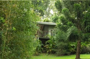 Treetops Accommodation Montville - Accommodation QLD 13