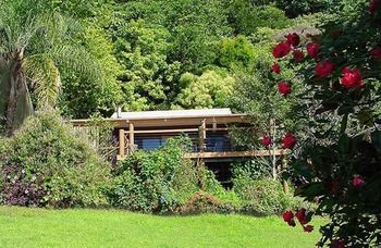 Treetops Accommodation Montville - Accommodation QLD 14
