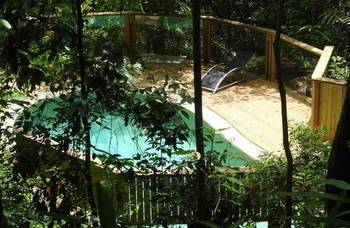 Treetops Accommodation Montville - Accommodation QLD 16