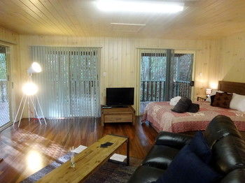 Treetops Accommodation Montville - Accommodation QLD 19