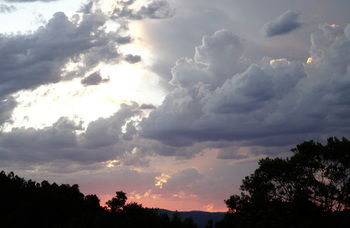 Treetops Accommodation Montville - Accommodation QLD 26